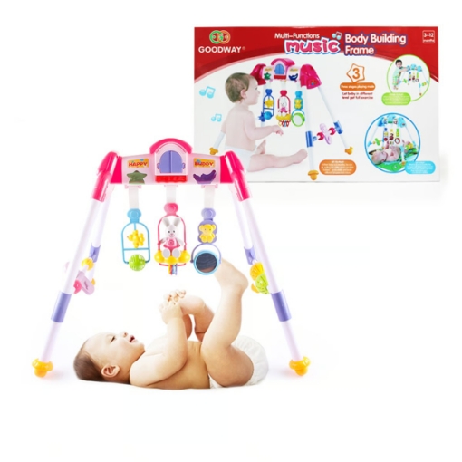 صورة First Step Play Gym 6922C