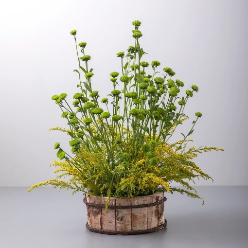 صورة بوكس الزهور الخشب