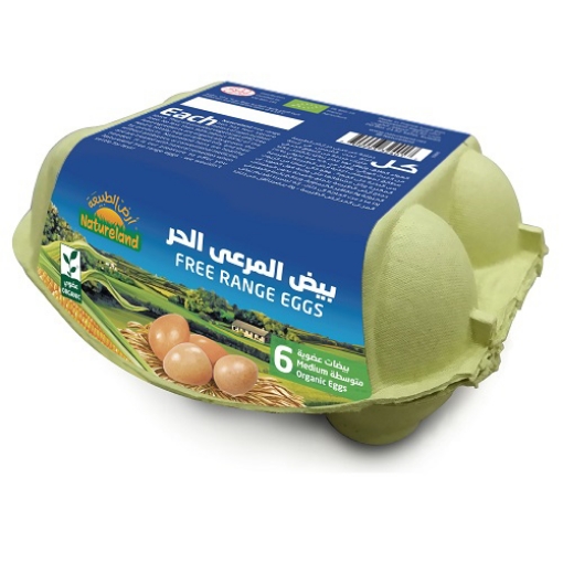 صورة ارض الطبيعة بيض عضوي المرعى الحر 6حبة