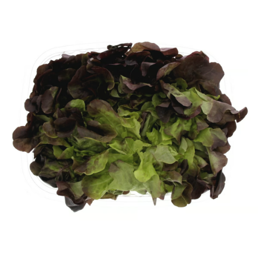 صورة خس هولندي أوكليف 200 جرام